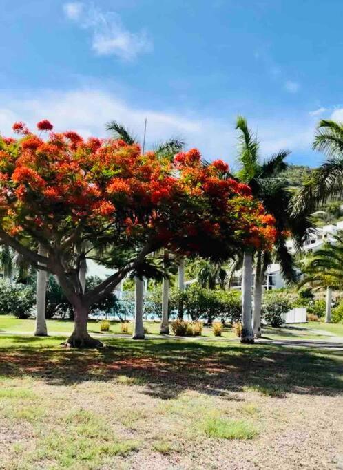 Apartamento Escale Caraibes Anse Marcel Exterior foto